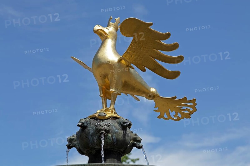Golden Imperial Eagle