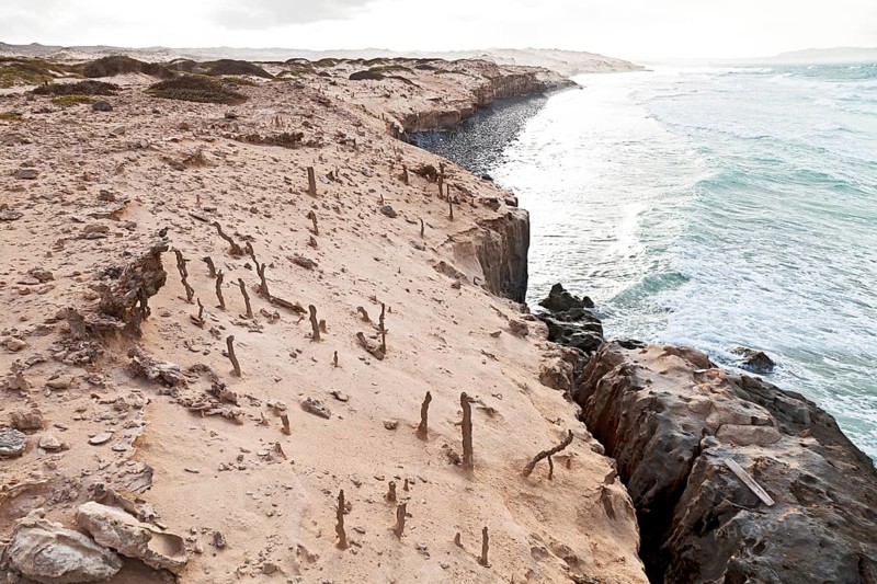 Fulgurites on the sandy cliffs of Praia de Boa Esperanca Beach