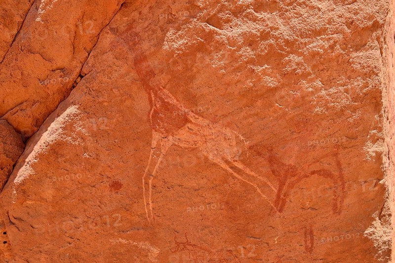 Rock painting of a dama gazelle
