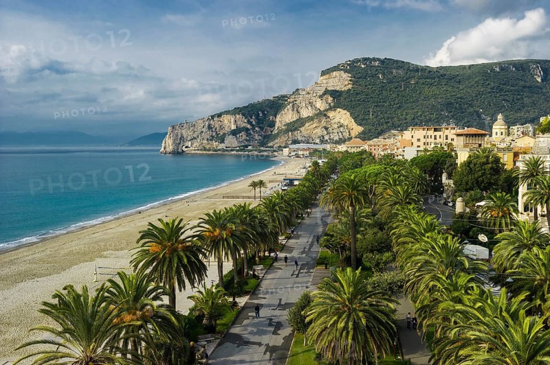 Palm avenue