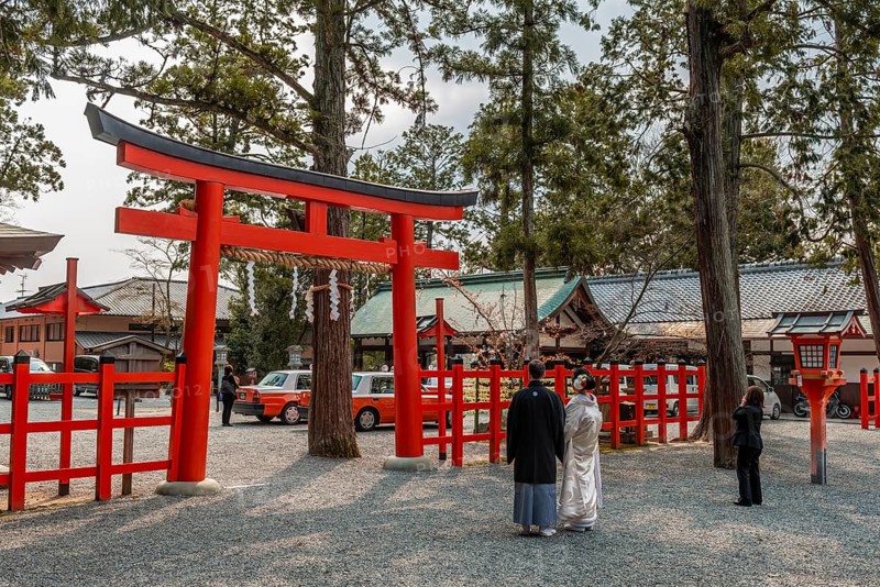 Wedding couple in front of Torii