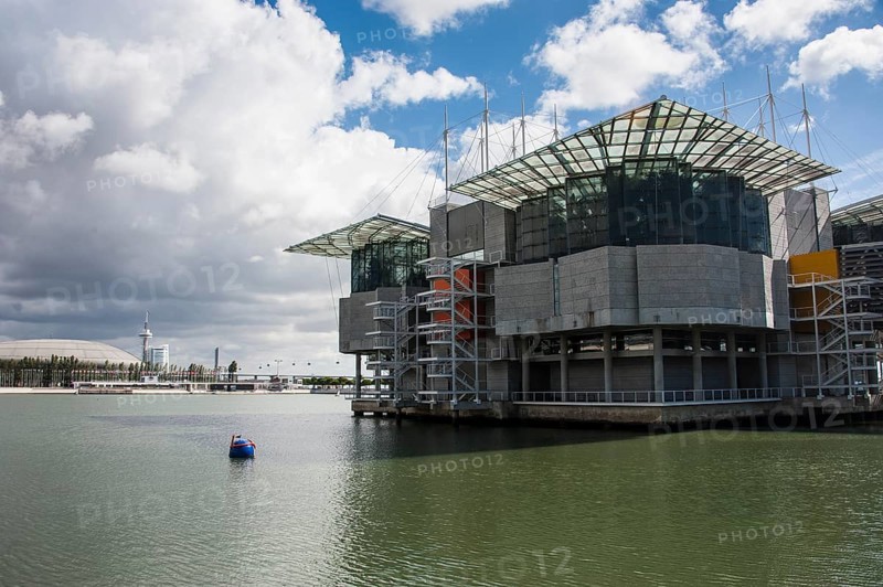 Oceanario de Lisboa or Lisbon Oceanarium