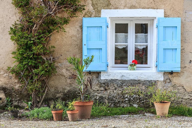 Window with bright blue shutters and potted plants