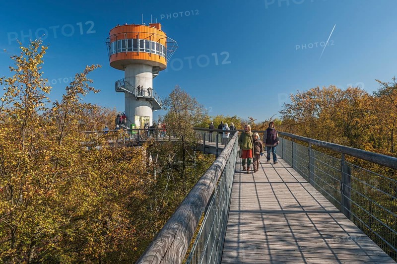 Treetop walk with observation tower
