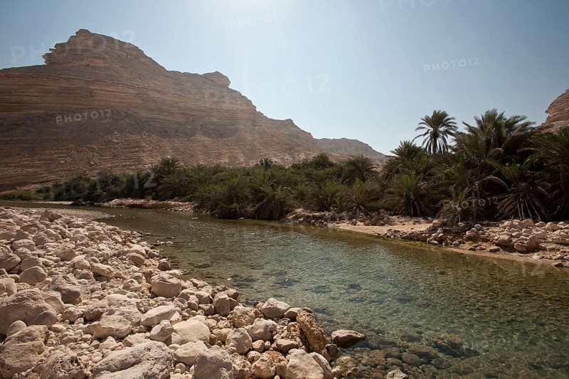 Oasis