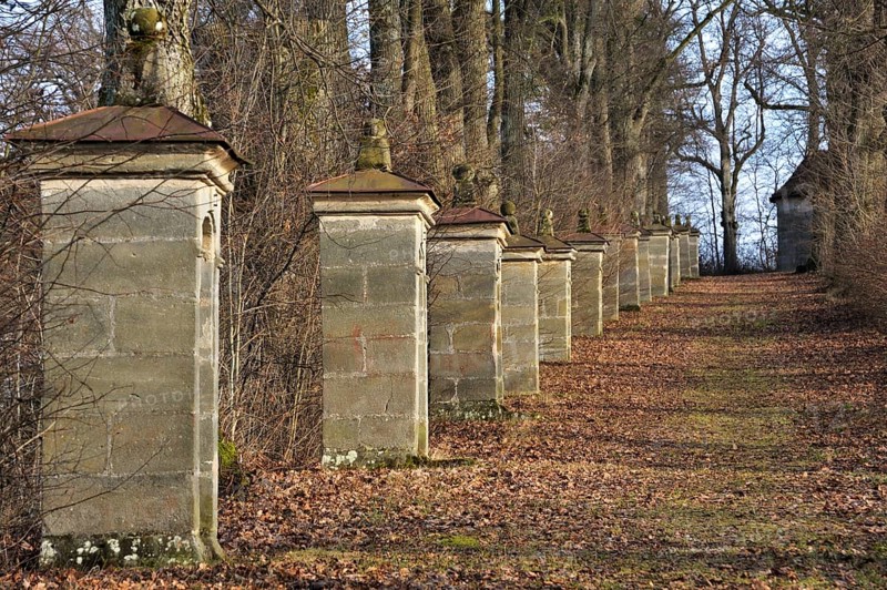 Way of the Cross with thirteen stations under an avenue of Large-leaved Lime trees (Tilia platyphyllos)
