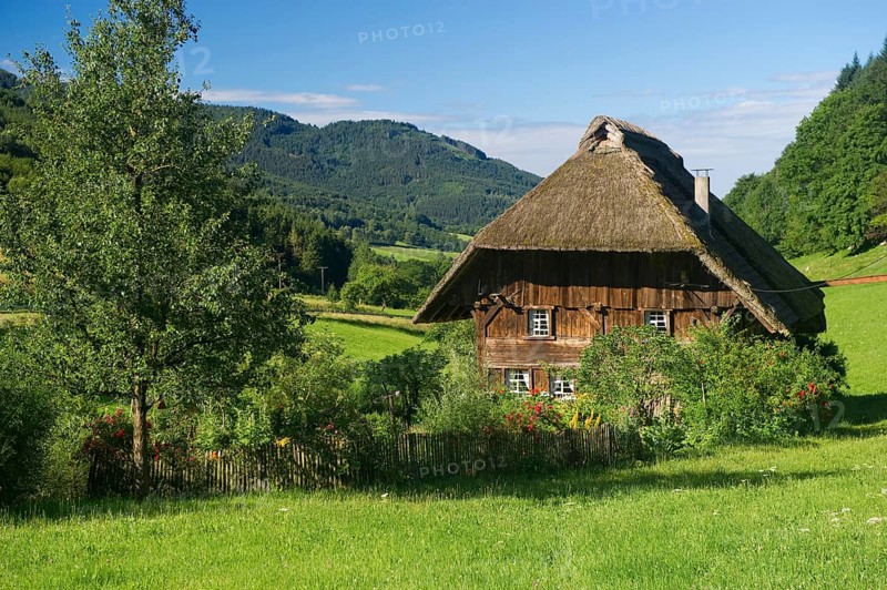 A thatched farmhouse and a cottage garden