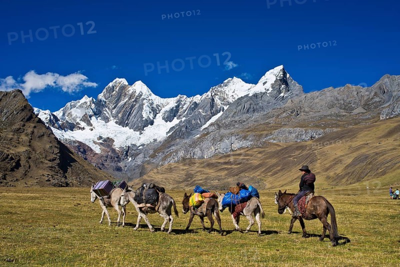 Local woman riding a mule and driving four packhorses