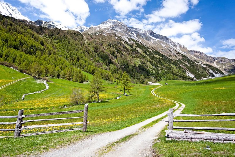 Schliniger Alm