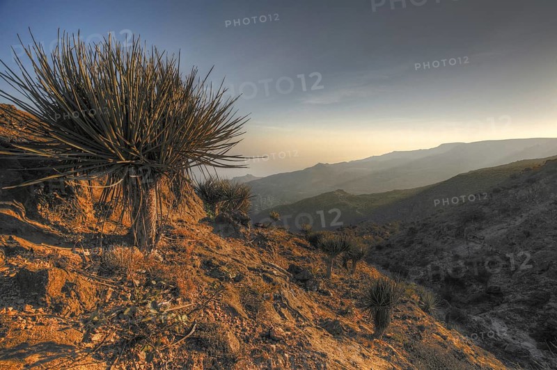 Arab mountains