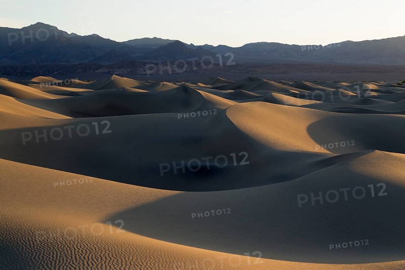 Mesquite Flat Sand Dunes in the early morning