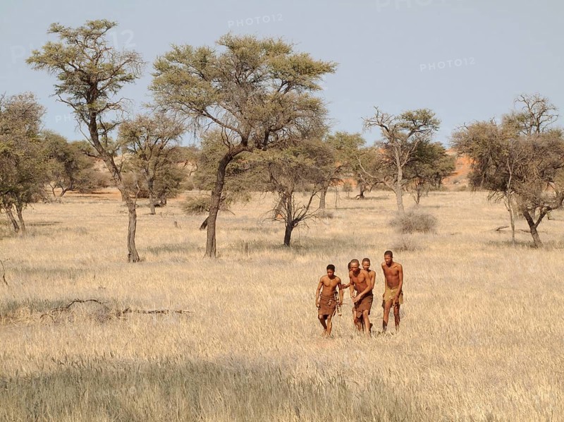 Bushmen in the Kalahari Desert