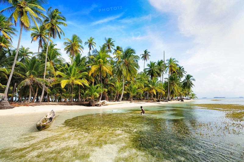 Lonely beach with palm trees on a tropical island