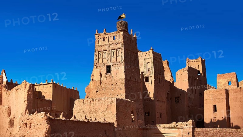 Stork nesting on the Glaoui Kasbah