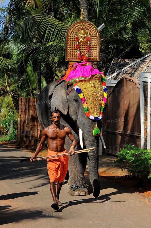 Decorated temple elephant with mahut