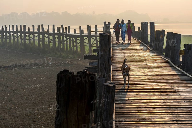 Girls and a dog on a teak bridge
