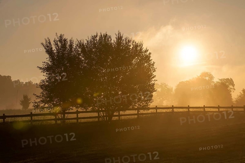 Sunrise with morning mist over meadows and pastures