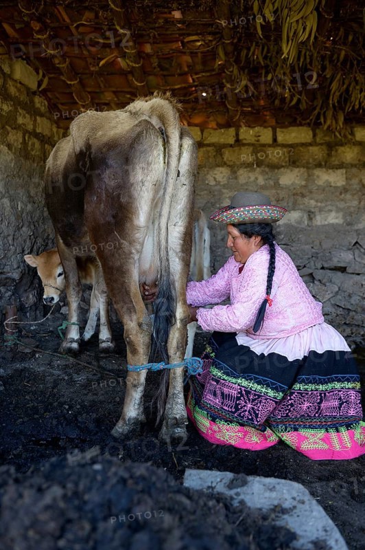 Farmer