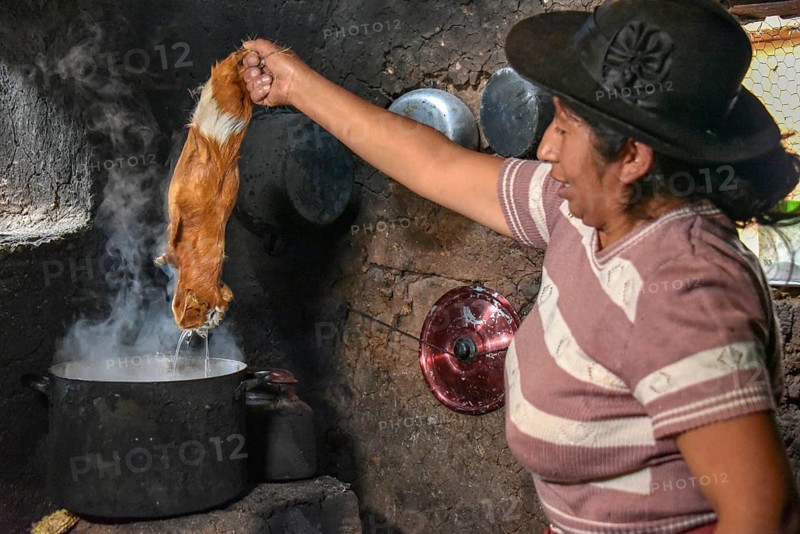 Local woman holding Cuy