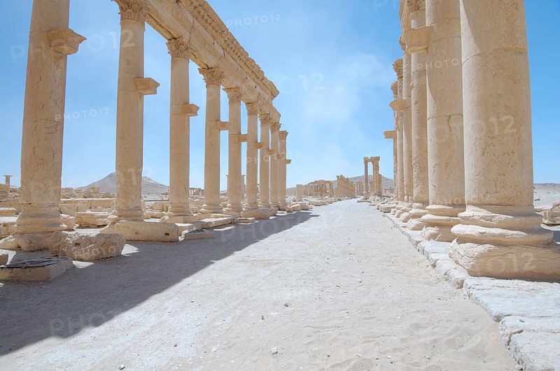 Ruins of the ancient city of Palmyra