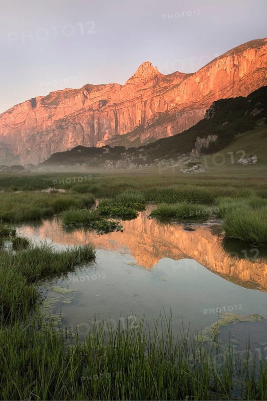 The rocks of the Sagzahn and Sonnwendjoch reflected in a high moor
