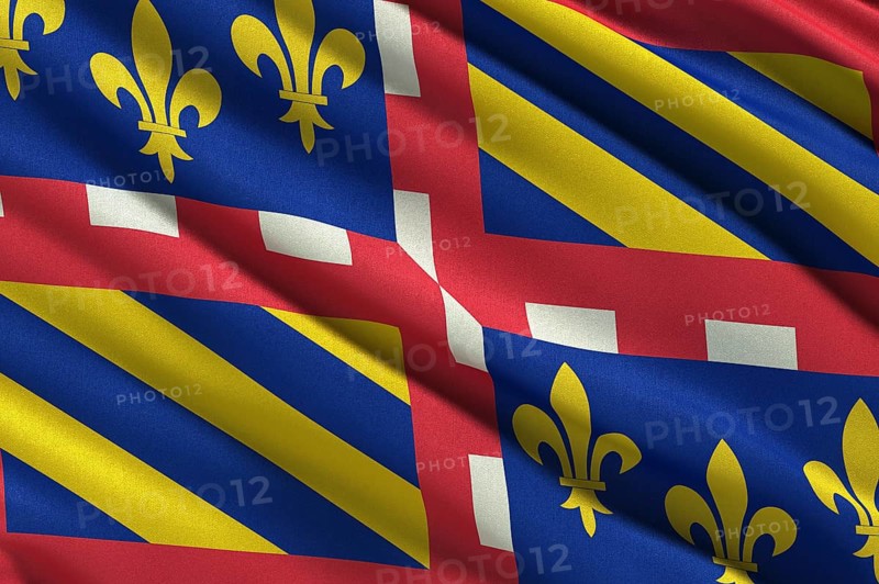 Flag of Burgundy