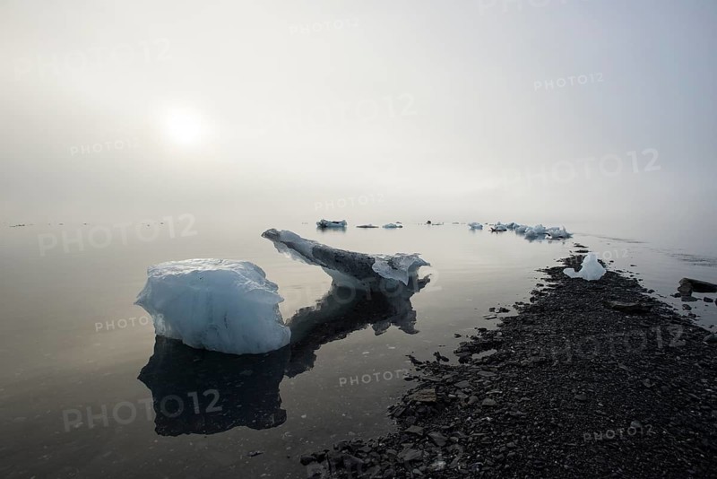 Beached icebergs and fog at Pakenham Point