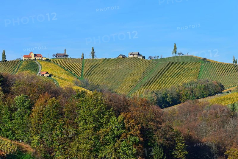 Typical landscape with vineyards in the Southern Styrian hill country