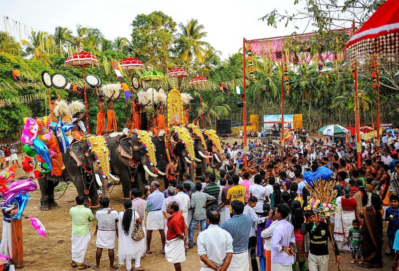 Hindu temple festival with many elephants