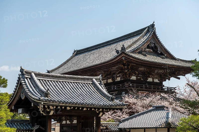 Ninna-ji Temple Goten