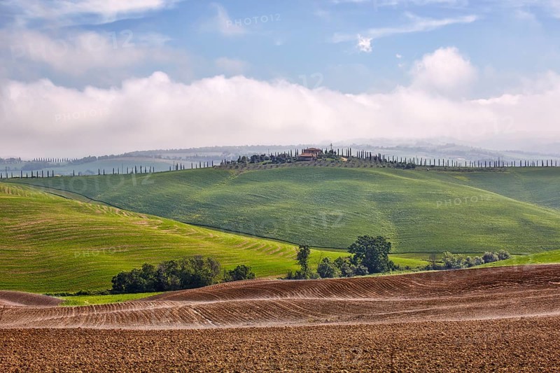 Hilly landscape of the Crete Senesi