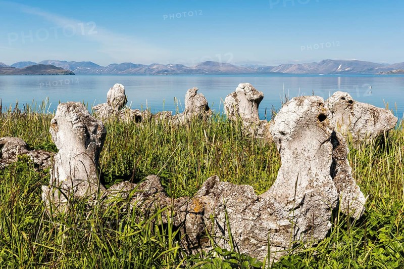 Whale Bone Alley