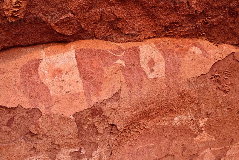 Rock painting of cows