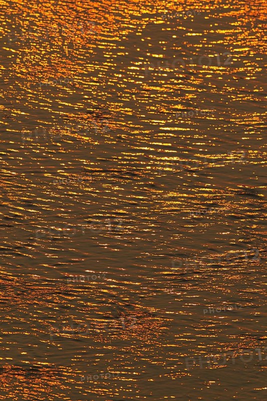 Reflections of the setting sun in the Olifants River