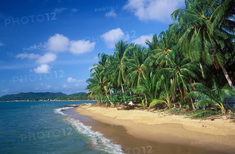 Palm beach