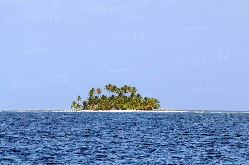 Lonely island with palm trees