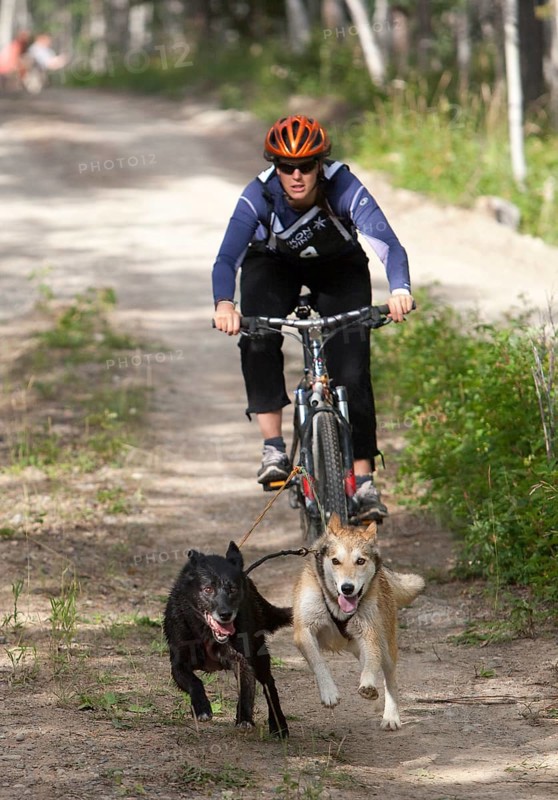 Woman bikejoring or bikejoring