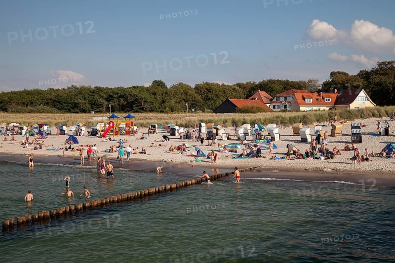 Sandy beach and coast