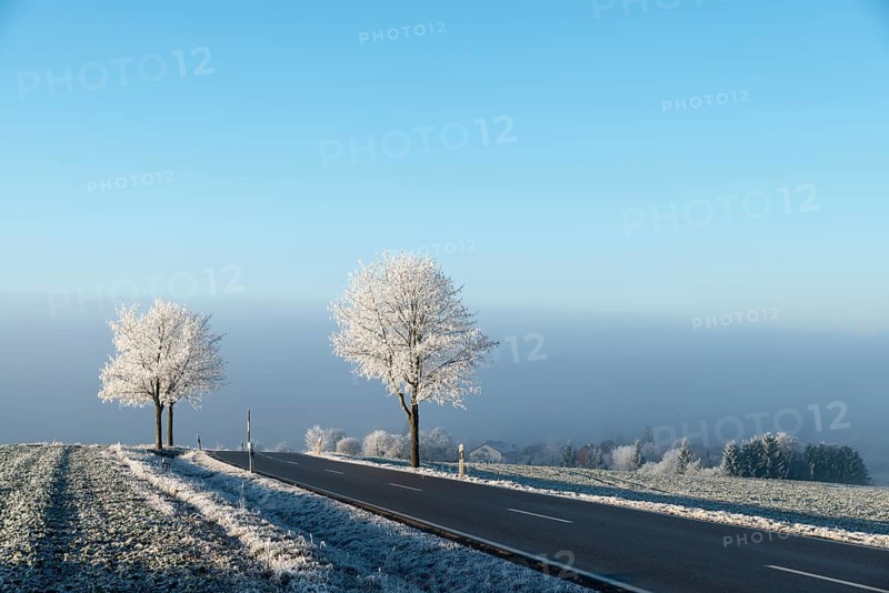 Country road with hoarfrost at Witthoh ridge