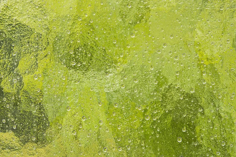 Raindrops