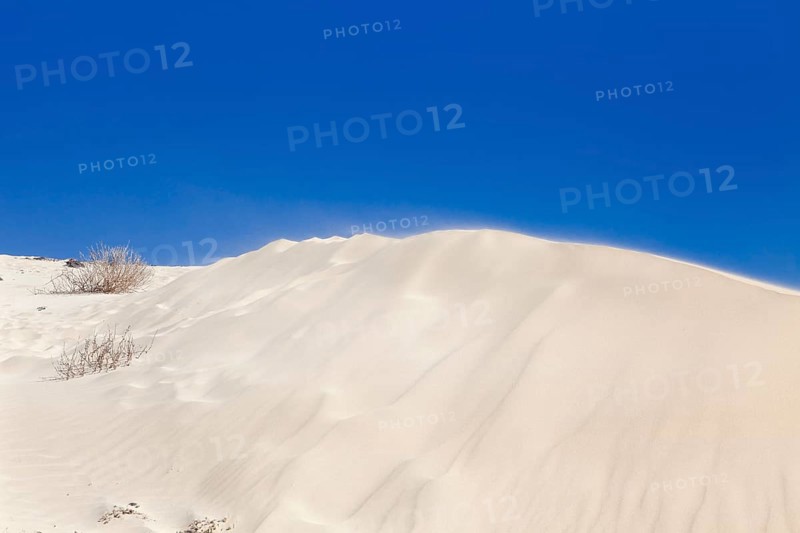 Dune
