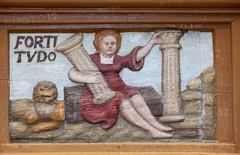 Fortitudo