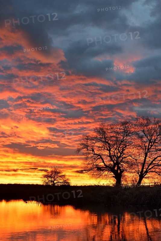 Sunrise over the Leiner See lake in the Middle Elbe Biosphere Reserve