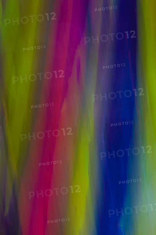 Coloured bark of a Eucalyptus Tree (Eucalyptus sp.)