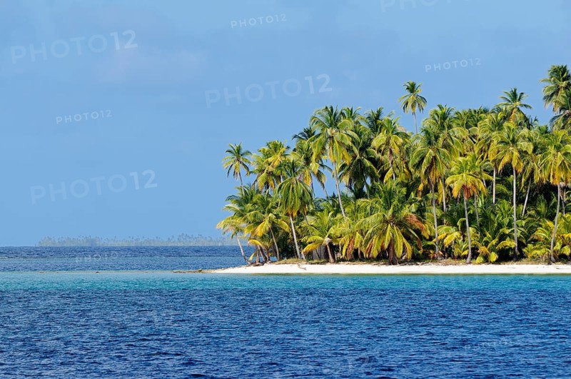 Tropical island with palm trees