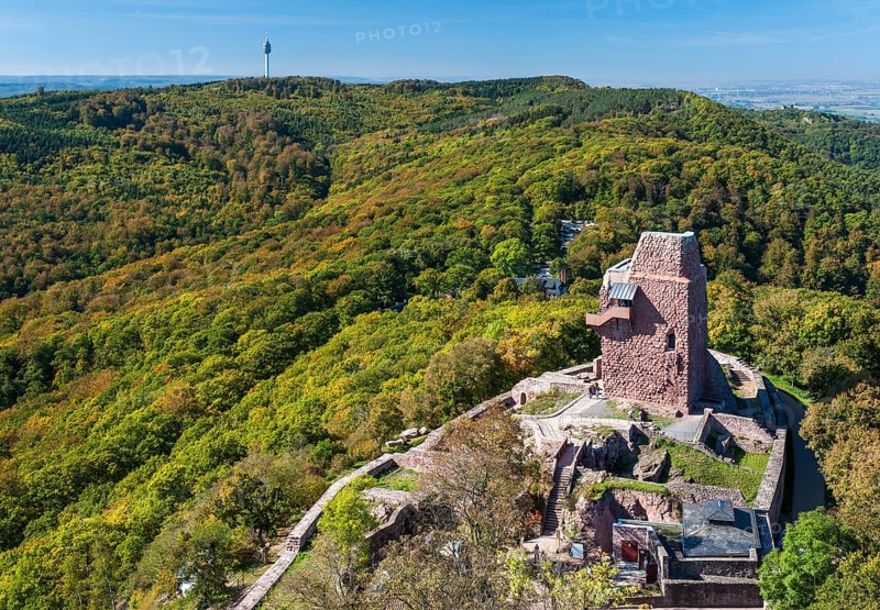 Ruins of the Reichsburg Kyffhausen