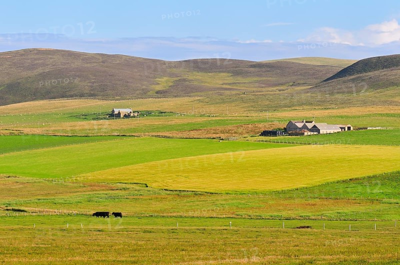 Landscape with a farm