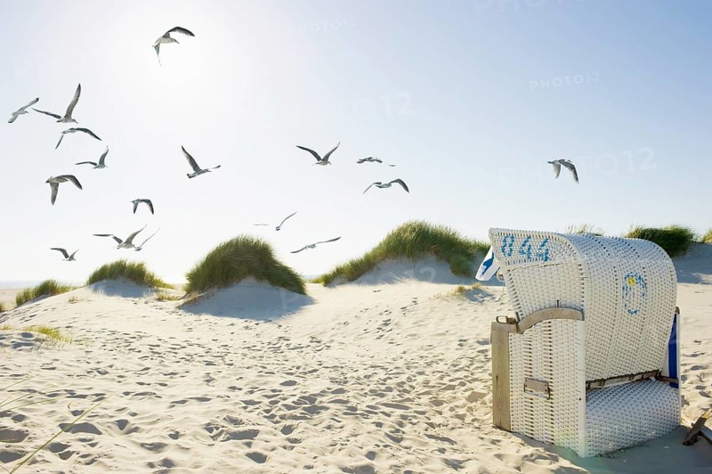 Beach chair in the sand dunes with seagulls in flight