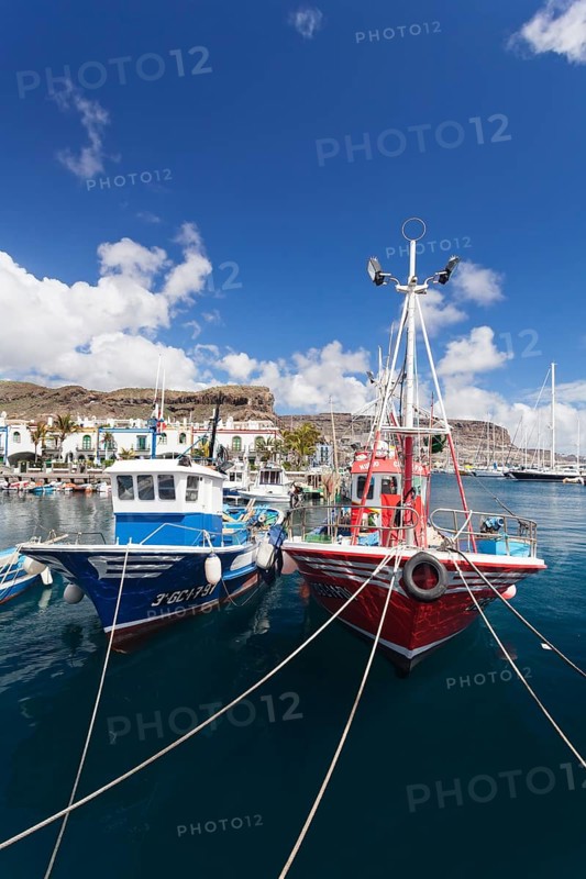 Fishing boats in the harbor