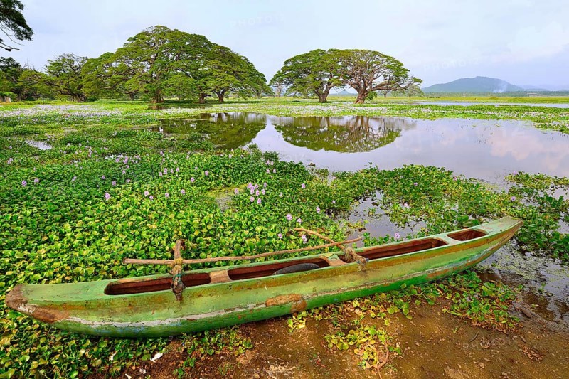 Outrigger canoe on the banks of the artificial lake Tissa Wewa